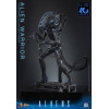Hot Toys - Aliens  -  Alien Warrior v2 MMS 1/6