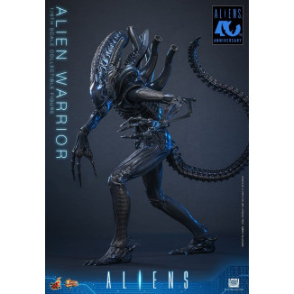 Hot Toys - Aliens  -  Alien Warrior v2 MMS 1/6
