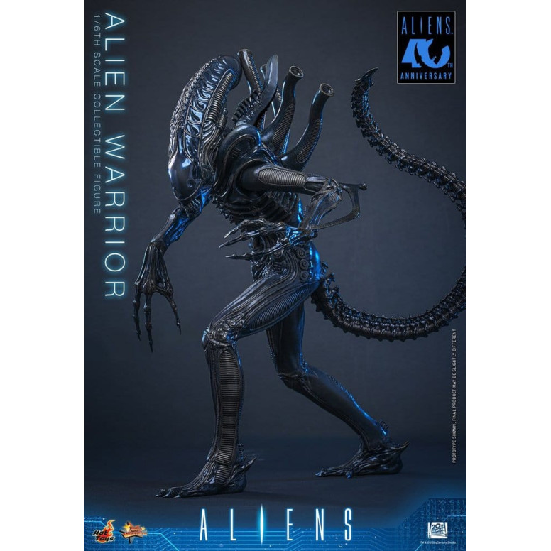 Hot Toys - Aliens  -  Alien Warrior v2 MMS 1/6