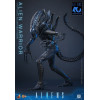 Hot Toys - Aliens  -  Alien Warrior v2 MMS 1/6