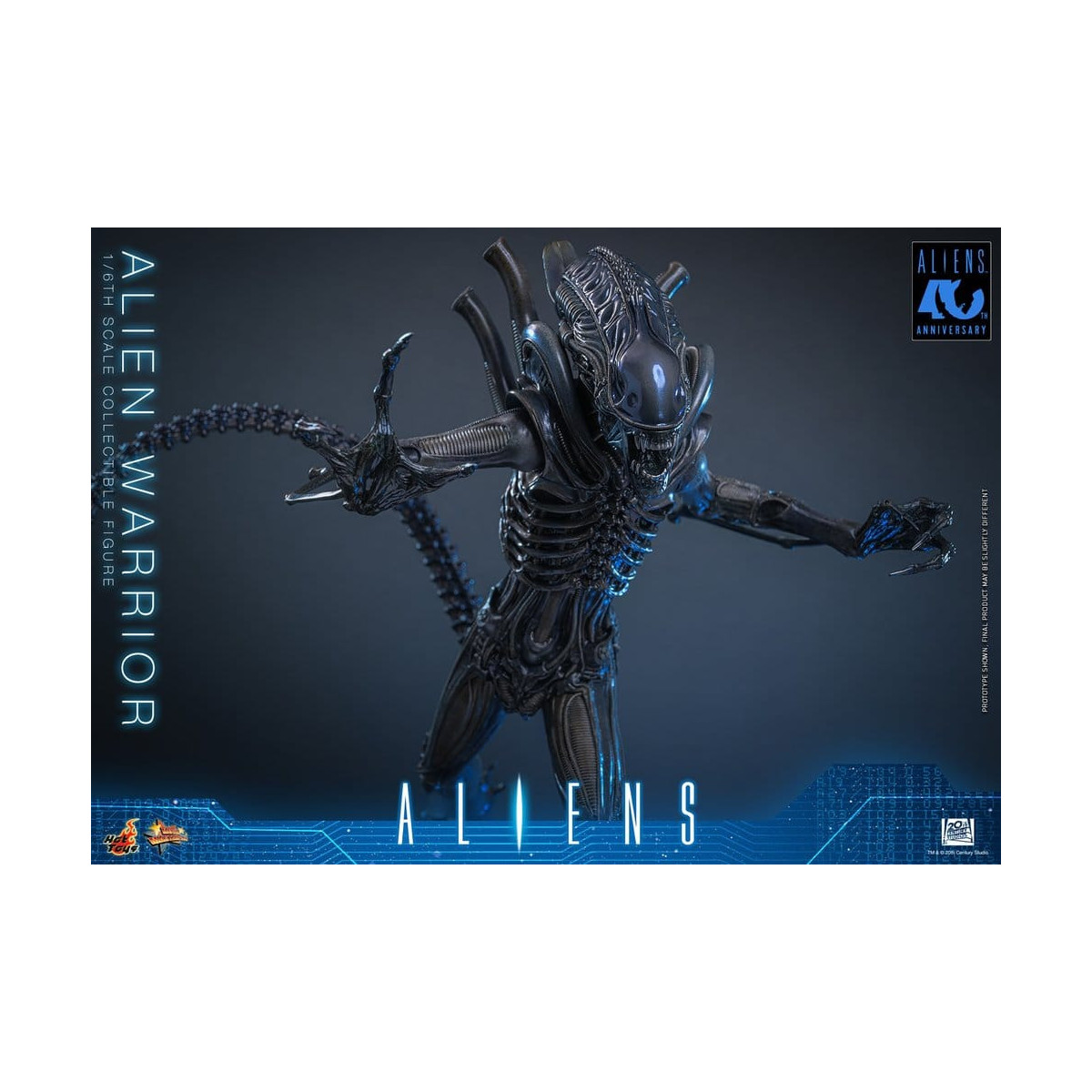 Hot Toys - Aliens  -  Alien Warrior v2 MMS 1/6