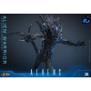 Hot Toys - Aliens  -  Alien Warrior v2 MMS 1/6