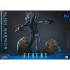 Hot Toys - Aliens  -  Alien Warrior v2 Deluxe MMS, 1/6 scale