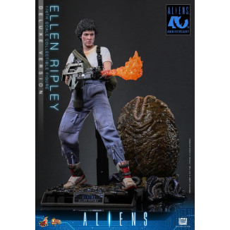 Hot Toys - Aliens - Ellen Ripley Deluxe version MMS , 1/6 scale