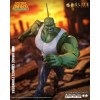 McFarlane - Savage Dragon (Image Comics Founders Series) - Elite Edition
