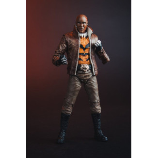 Mc Farlane - DC Multiverse - Bronze Tiger (New 52) 1/12