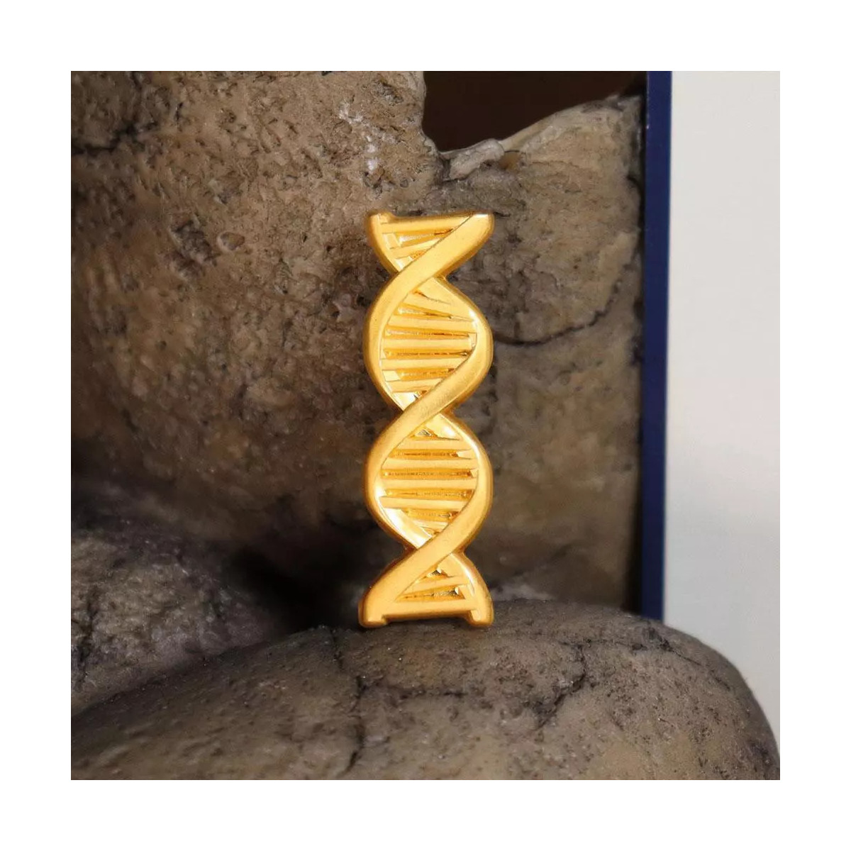 FaNaTtiK - Jurassic Park Genetics Laboratory Service Award