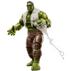 Hasbro Marvel Legends Series - - Spider-Man: Brand New Day Hulk