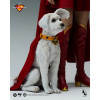 INART - Supergirl 1/6 Scale Collectible Figure - Supergirl (2026)