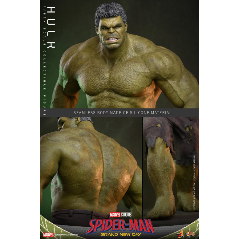 Hot Toys - 1/6 Scale " Hulk " MMS905 - Marvel's Spider-Man: Brand New Day