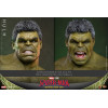 Hot Toys - 1/6 Scale " Hulk " MMS905 - Marvel's Spider-Man: Brand New Day