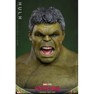 Hot Toys - 1/6 Scale " Hulk " MMS905 - Marvel's Spider-Man: Brand New Day