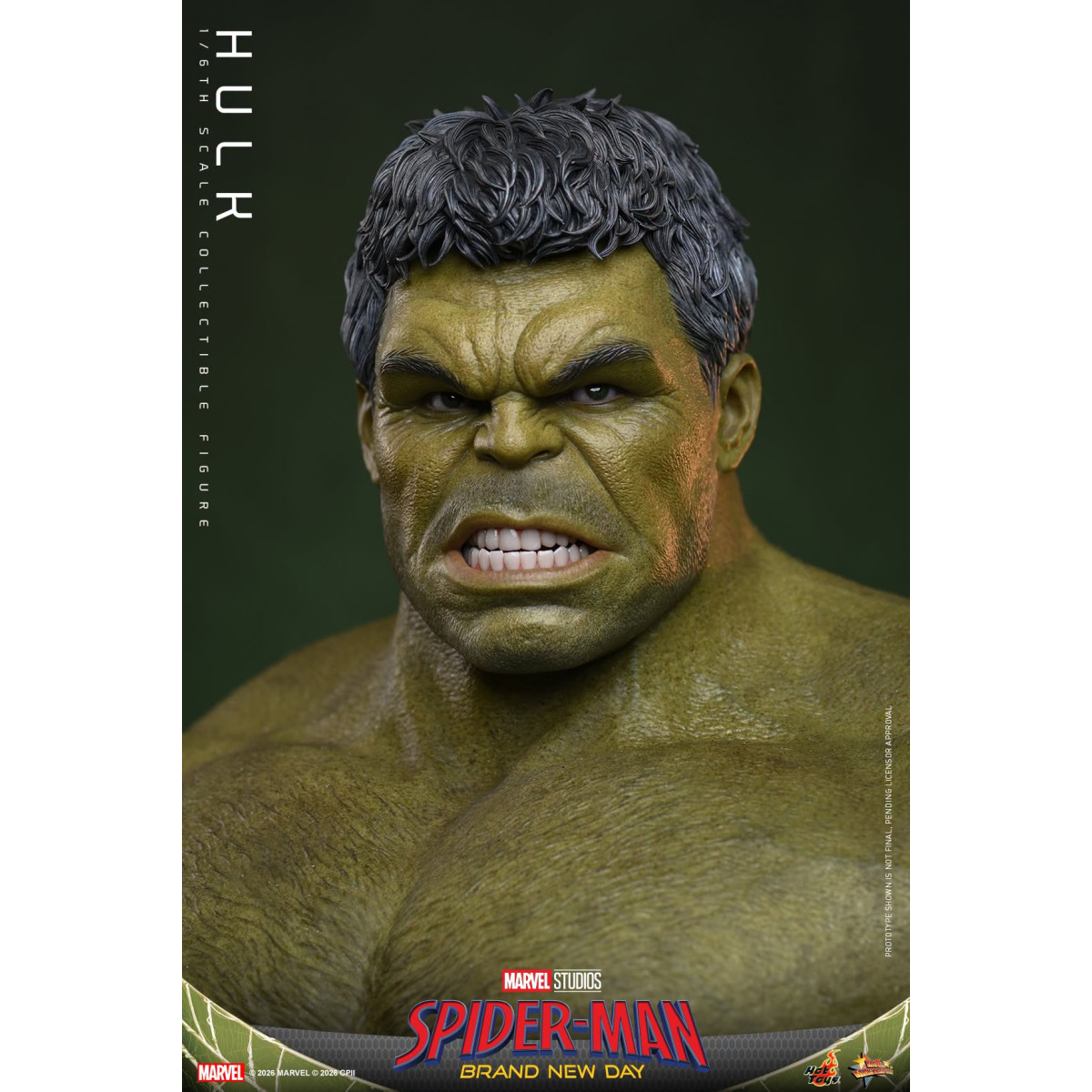 Hot Toys - 1/6 Scale " Hulk " MMS905 - Marvel's Spider-Man: Brand New Day