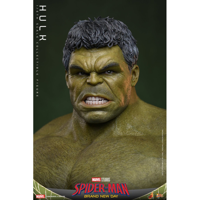Hot Toys - 1/6 Scale " Hulk " MMS905 - Marvel's Spider-Man: Brand New Day