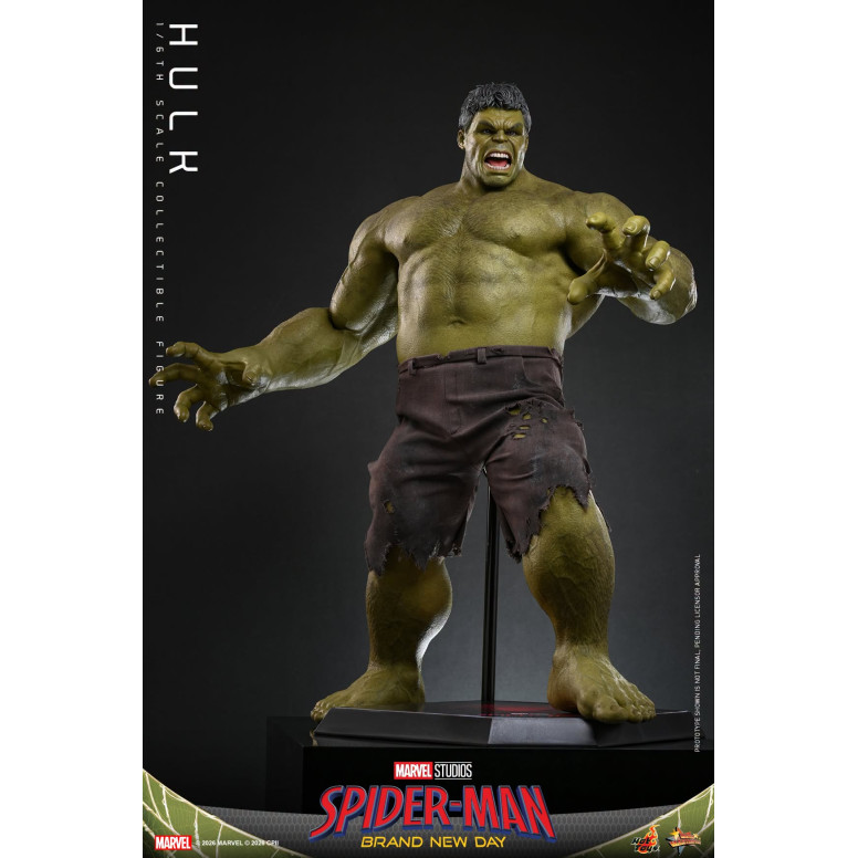 Hot Toys - 1/6 Scale " Hulk " MMS905 - Marvel's Spider-Man: Brand New Day