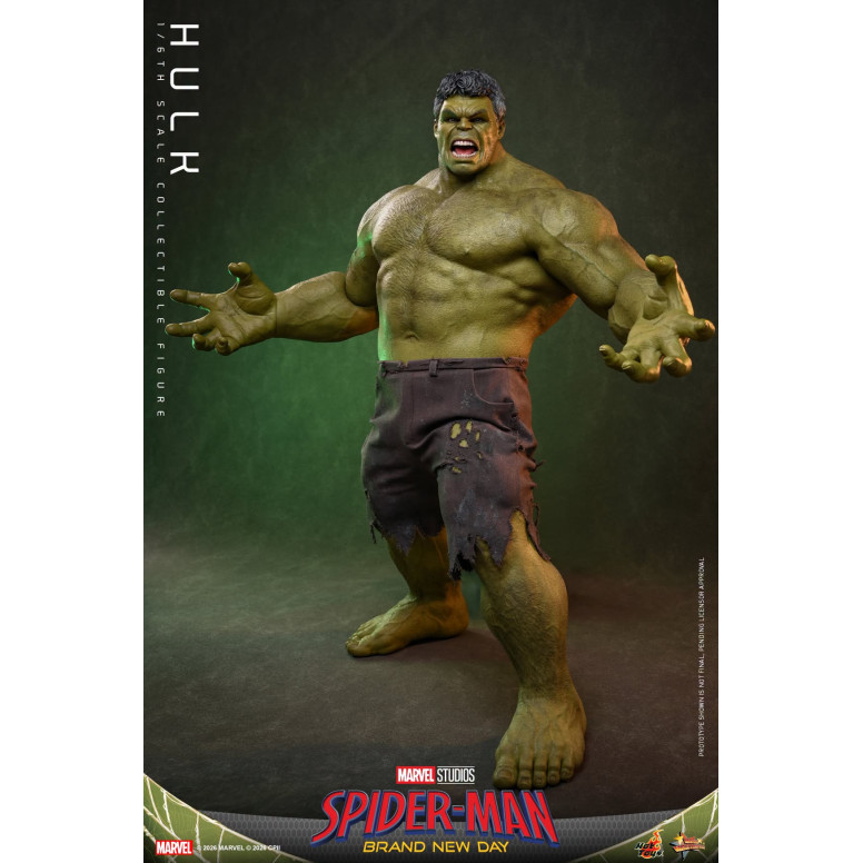 Hot Toys - 1/6 Scale " Hulk " MMS905 - Marvel's Spider-Man: Brand New Day