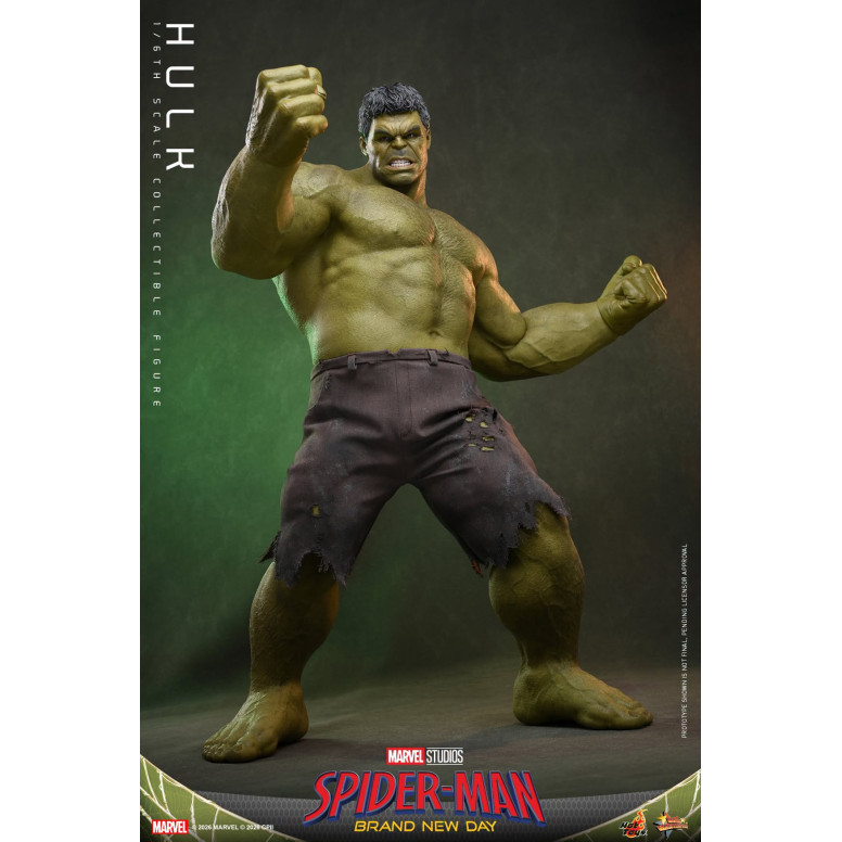 Hot Toys - 1/6 Scale " Hulk " MMS905 - Marvel's Spider-Man: Brand New Day