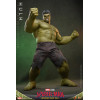 Hot Toys - 1/6 Scale " Hulk " MMS905 - Marvel's Spider-Man: Brand New Day