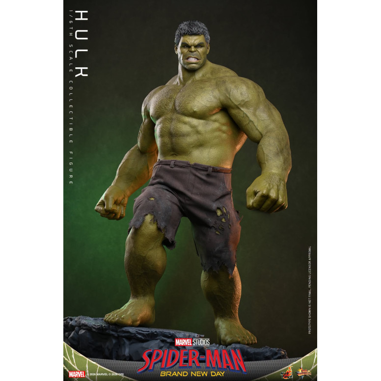 Hot Toys - 1/6 Scale " Hulk " MMS905 - Marvel's Spider-Man: Brand New Day