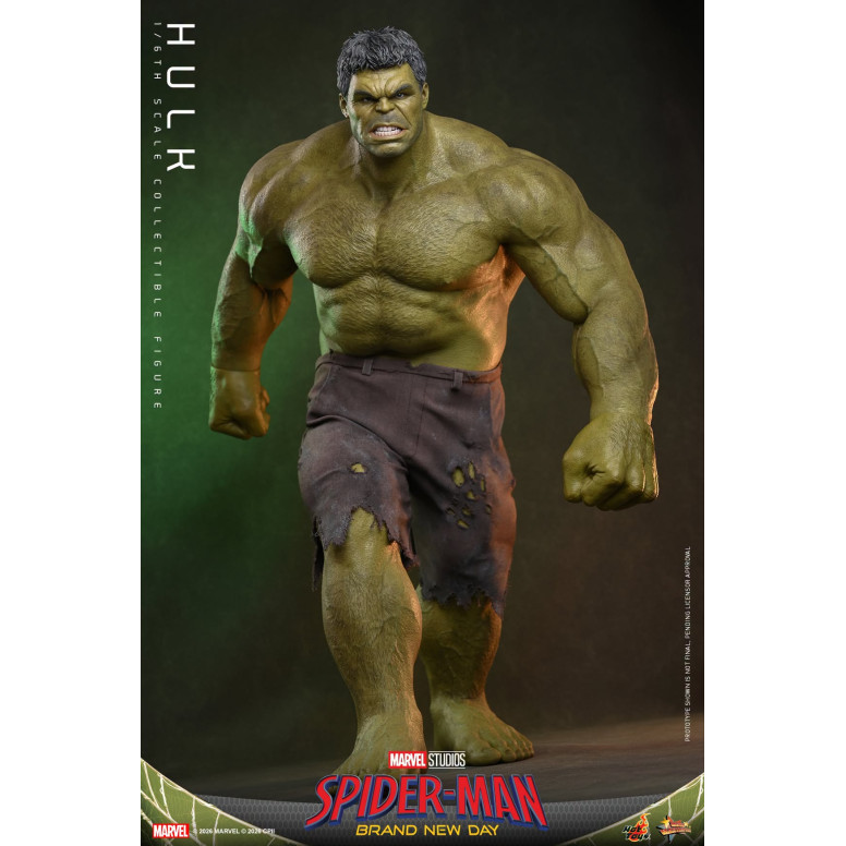 Hot Toys - 1/6 Scale " Hulk " MMS905 - Marvel's Spider-Man: Brand New Day