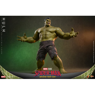 Hot Toys - 1/6 Scale " Hulk " MMS905 - Marvel's Spider-Man: Brand New Day