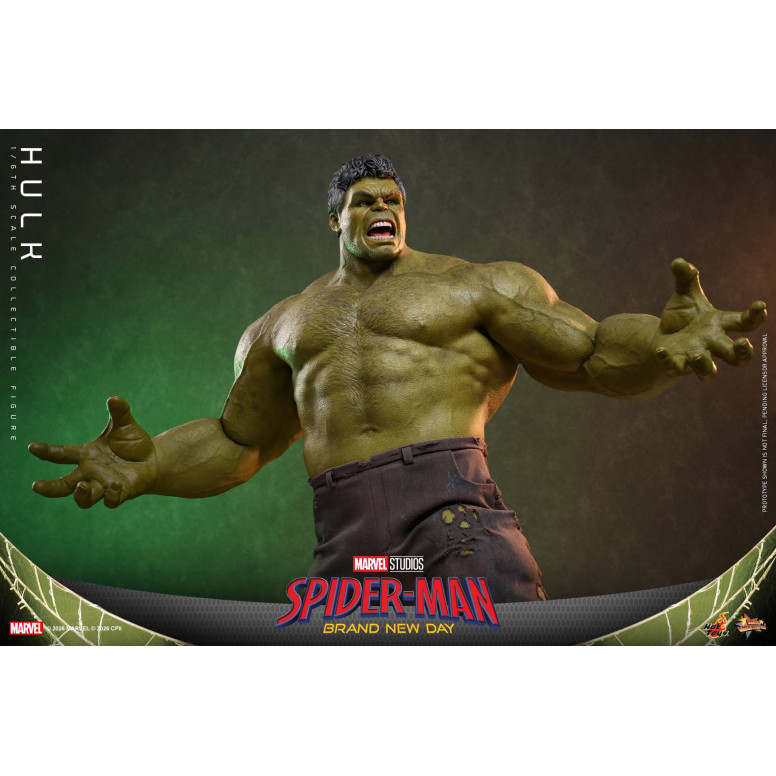 Hot Toys - 1/6 Scale " Hulk " MMS905 - Marvel's Spider-Man: Brand New Day