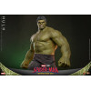 Hot Toys - 1/6 Scale " Hulk " MMS905 - Marvel's Spider-Man: Brand New Day