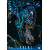 Hot Toys - Aliens 40th Anniversary - ALIEN QUEEN  1/6