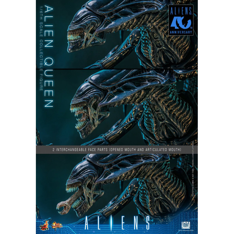 Hot Toys - Aliens 40th Anniversary - ALIEN QUEEN  1/6