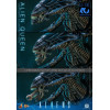Hot Toys - Aliens 40th Anniversary - ALIEN QUEEN  1/6