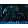 Hot Toys - Aliens 40th Anniversary - ALIEN QUEEN  1/6