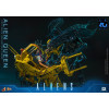Hot Toys - Aliens 40th Anniversary - ALIEN QUEEN  1/6