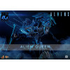 Hot Toys - Aliens 40th Anniversary - ALIEN QUEEN  1/6