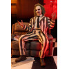 Hot Toys - Beetlejuice MMS 1/6 - Beetlejuice Beetlejuice Figurine