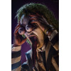 Hot Toys - Beetlejuice MMS 1/6 - Beetlejuice Beetlejuice Figurine