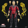Marvel Legends - SHANG-CHI - Avengers: Doomsday