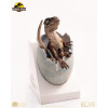 Toynami ECC Elite Creature Collectibles - Velociraptor Hatching Egg 1/1 - Jurassic Park