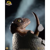 Toynami ECC Elite Creature Collectibles - Velociraptor Hatching Egg 1/1 - Jurassic Park