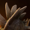 Iron Studios - Stegosaurus - Jurassic Park: The Lost World Icons
