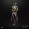 Hasbro Star Wars The Black Series —EMBO—The Mandalorian & Grogu