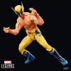 Marvel Legends - Wolverine (shirtless) - Deadpool & Wolverine