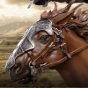 Weta The Lord of the Rings 1/6 Scale Statue: Éomer On Firefoot | Figurine