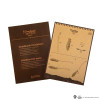 Harry Potter Cinereplicas - 1:1 Scale Replica of the Nimbus 2000 Junior Magic Broomstick