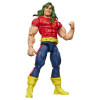 Marvel Legends The Incredible Hulk - Doc Samson