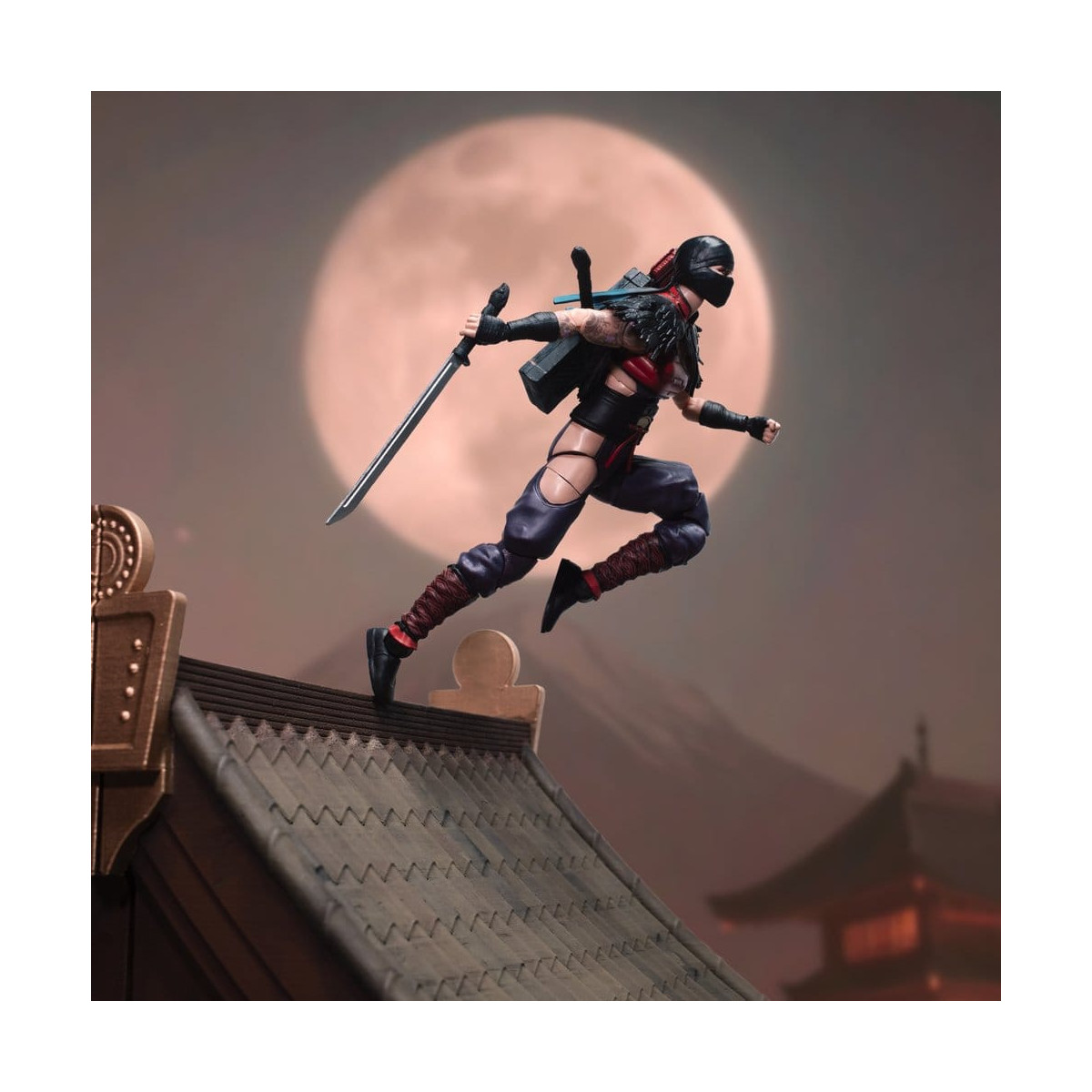 Hasbro G.I.JOE Classified Series - Ninja Force: Snake Eyes & Kim "Jinx" Arashikage