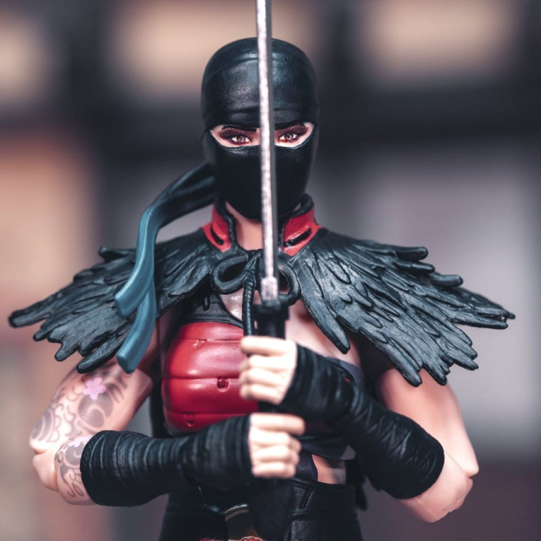 Hasbro G.I.JOE Classified Series - Ninja Force: Snake Eyes & Kim "Jinx" Arashikage