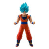 Bandai Tamashii - Super - Super Saiyan God Super Saiyan Son Goku  (Blue Power Transcending Limits) - Dragon Ball SHF SHFiguarts