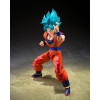 Bandai Tamashii - Super - Super Saiyan God Super Saiyan Son Goku  (Blue Power Transcending Limits) - Dragon Ball SHF SHFiguarts