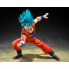Bandai Tamashii - Super - Super Saiyan God Super Saiyan Son Goku  (Blue Power Transcending Limits) - Dragon Ball SHF SHFiguarts