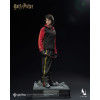 INART - Harry Potter and the Goblet of Fire - Harry Potter 1/6 Scale Collectible Figure